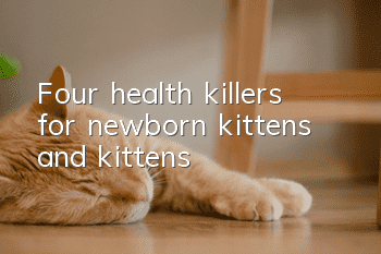 Four health killers for newborn kittens and kittens