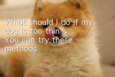 What should I do if my dog is too thin? You can try these methods