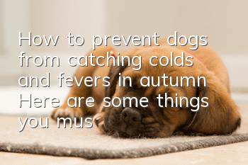 How to prevent dogs from catching colds and fevers in autumn? Here are some things you must pay attention to