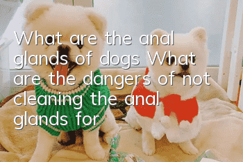 What are the anal glands of dogs? What are the dangers of not cleaning the anal glands for a long time?
