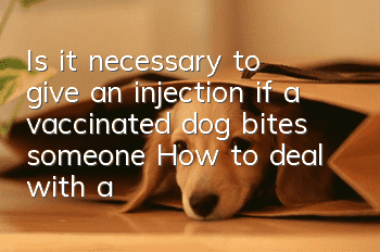Is it necessary to give an injection if a vaccinated dog bites someone? How to deal with a dog bite in an emergency?