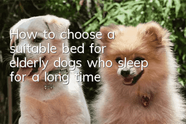 How to choose a suitable bed for elderly dogs who sleep for a long time