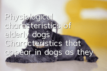 Physiological characteristics of elderly dogs Characteristics that appear in dogs as they age