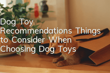 Dog Toy Recommendations Things to Consider When Choosing Dog Toys