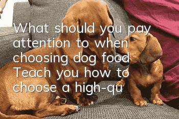 What should you pay attention to when choosing dog food? Teach you how to choose a high-quality dog ​​food