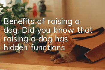 Benefits of raising a dog. Did you know that raising a dog has hidden functions?