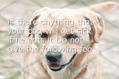 Is there anything that your dog will get sick if he eats it? Do not give the following foods to your dog: