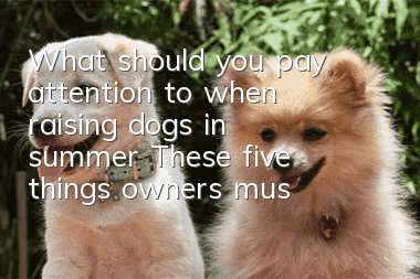 What should you pay attention to when raising dogs in summer? These five things owners must know