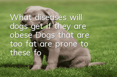 What diseases will dogs get if they are obese? Dogs that are too fat are prone to these four diseases