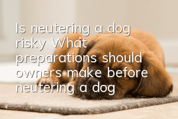Is neutering a dog risky? What preparations should owners make before neutering a dog?