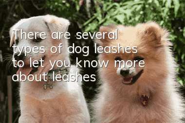 There are several types of dog leashes to let you know more about leashes