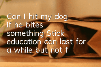 Can I hit my dog ​​if he bites something? Stick education can last for a while but not forever.