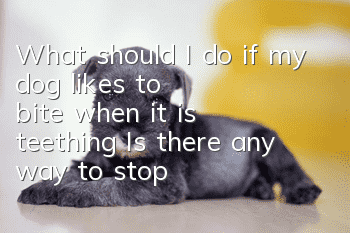 What should I do if my dog ​​likes to bite when it is teething? Is there any way to stop it from biting?