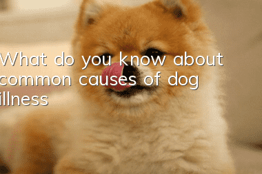 What do you know about common causes of dog illness?