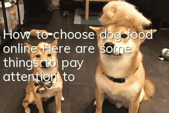 How to choose dog food online? Here are some things to pay attention to