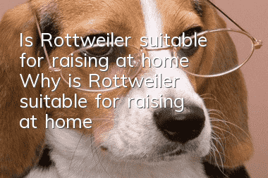 Is Rottweiler suitable for raising at home? Why is Rottweiler suitable for raising at home?