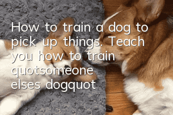 How to train a dog to pick up things. Teach you how to train "someone else's dog"
