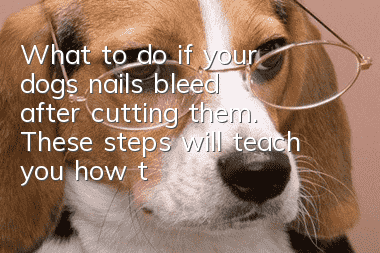 What to do if your dog’s nails bleed after cutting them. These steps will teach you how to deal with them.