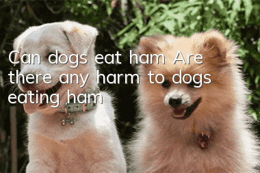 Can dogs eat ham? Are there any harm to dogs eating ham?