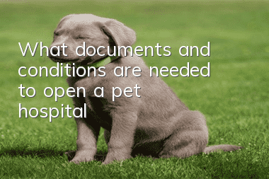 What documents and conditions are needed to open a pet hospital?
