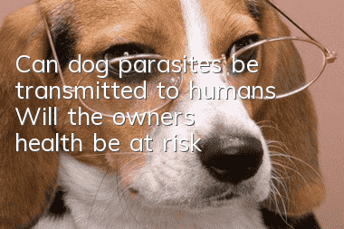 Can dog parasites be transmitted to humans? Will the owner’s health be at risk?