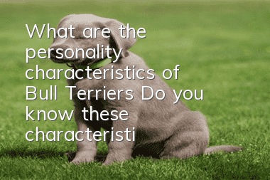 What are the personality characteristics of Bull Terriers? Do you know these characteristics?