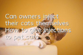 Can owners inject their cats themselves? How to give injections to pet cats