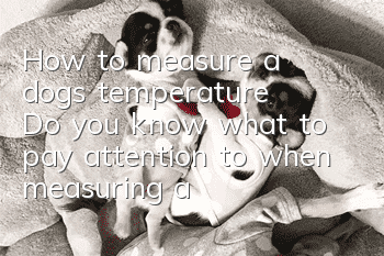 How to measure a dog’s temperature? Do you know what to pay attention to when measuring a dog’s temperature?