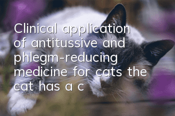 Clinical application of antitussive and phlegm-reducing medicine for cats, the cat has a cough!