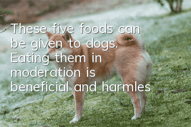 These five foods can be given to dogs. Eating them in moderation is beneficial and harmless to dogs.