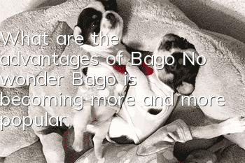 What are the advantages of Bago? No wonder Bago is becoming more and more popular.