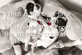 When is the best time to neuter a golden retriever? Do you know the pros and cons of neutering a golden retriever?