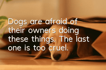 Dogs are afraid of their owners doing these things. The last one is too cruel.
