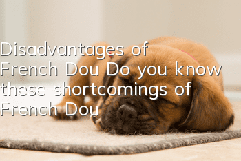 Disadvantages of French Dou Do you know these shortcomings of French Dou?