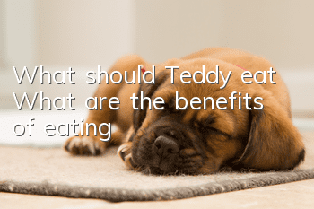 What should Teddy eat? What are the benefits of eating?