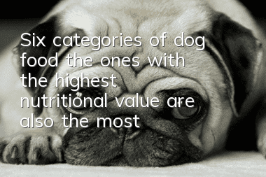 Six categories of dog food: the ones with the highest nutritional value are also the most expensive
