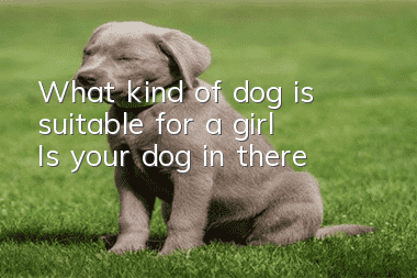 What kind of dog is suitable for a girl? Is your dog in there?