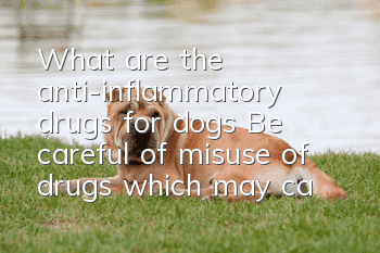 What are the anti-inflammatory drugs for dogs? Be careful of misuse of drugs, which may cause deafness.