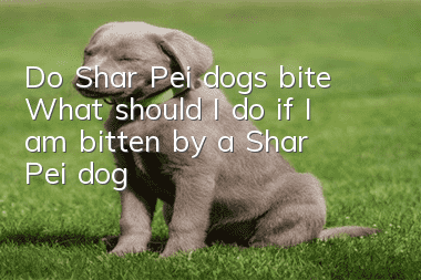 Do Shar Pei dogs bite? What should I do if I am bitten by a Shar Pei dog?