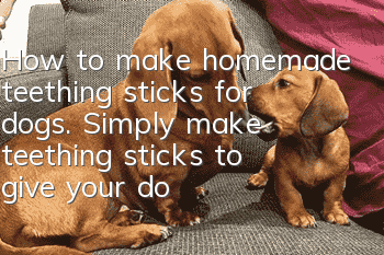 How to make homemade teething sticks for dogs. Simply make teething sticks to give your dog more love.