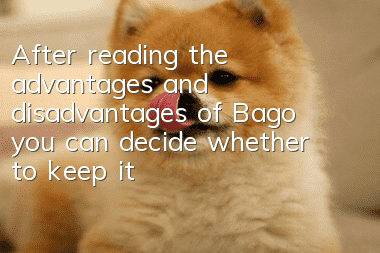 After reading the advantages and disadvantages of Bago, you can decide whether to keep it or not!