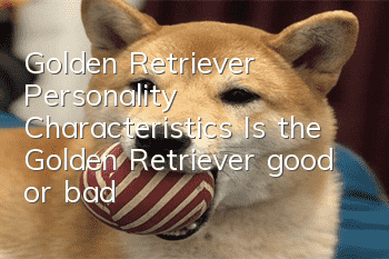 Golden Retriever Personality Characteristics Is the Golden Retriever good or bad?