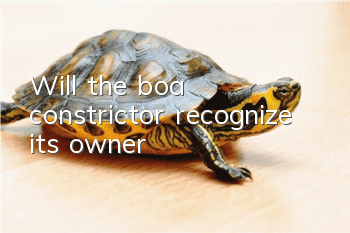 Will the boa constrictor recognize its owner?