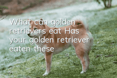 What can golden retrievers eat? Has your golden retriever eaten these?