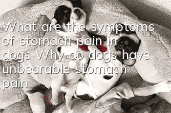 What are the symptoms of stomach pain in dogs? Why do dogs have unbearable stomach pain?