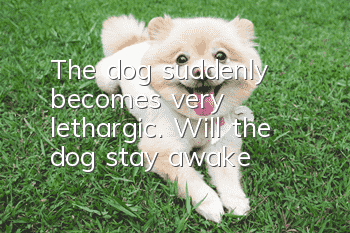 The dog suddenly becomes very lethargic. Will the dog stay awake?