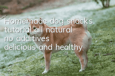 Homemade dog snacks tutorial, all natural, no additives, delicious and healthy