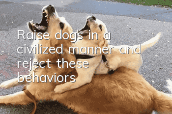 Raise dogs in a civilized manner and reject these behaviors!