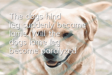 The dog's hind leg suddenly became lame. Will the dog's lame leg become paralyzed?