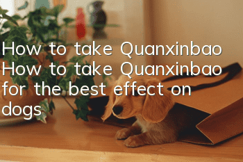 How to take Quanxinbao How to take Quanxinbao for the best effect on dogs